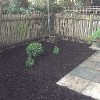 Garden border with bark chippings and planting following creation of the border and patio area from a fully paved garden