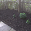 Garden border with bark chippings and planting following creation of the border and patio area from a fully paved garden