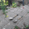 The paved area before we began work was overgrown and unappealing