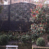 Black lattice fencing
