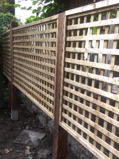 trellis installed camden north west london