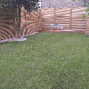 Turfed lawn with gravel edging