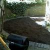 Dig in top soil to reinvigorate the ground and start to flatten