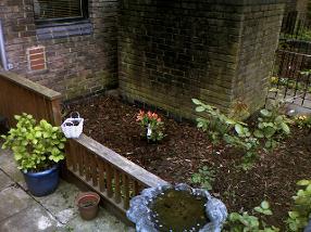garden following clearance and replanting