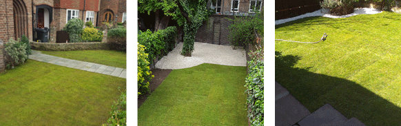 Three examples of turfed lawns by Londinium Gardens