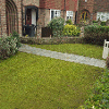 Turfed lawn with path through leading to the house rejuvenating the front garden of this home