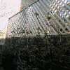 Trellis panelling added to the top of existing fencing