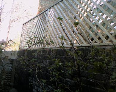 trellis fencing installed north london